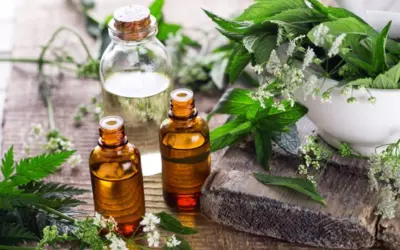 Explore the Benefits of Healing Herbs for Pain & Recovery