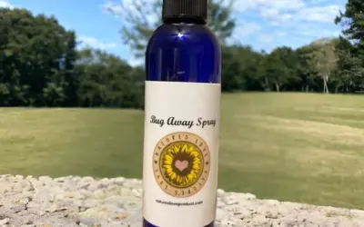 Bug Away Spray 4 oz