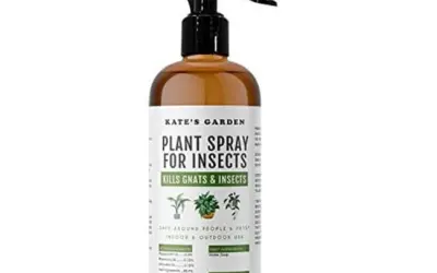 Plant Spray For Insects