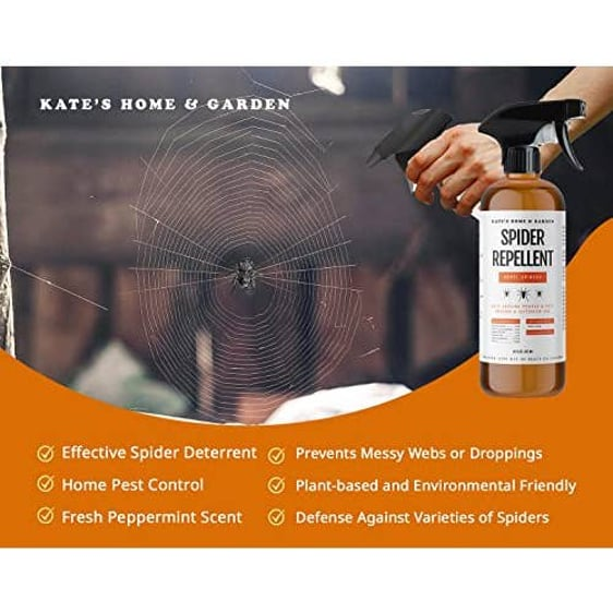 Spider Repellent Spray - Image 2